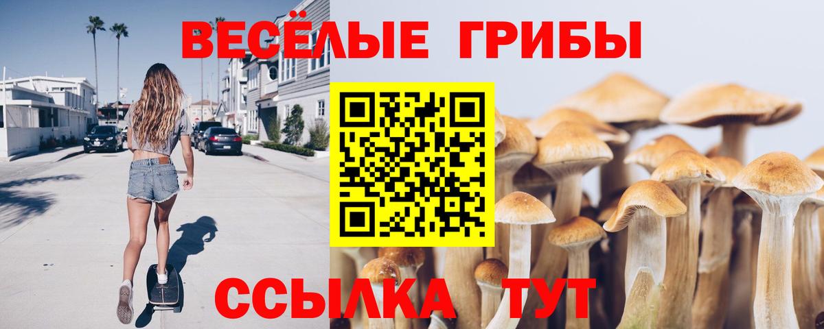 что такое   Вход с VPN  Самара  Галлюциногенные грибы Magic Shrooms 